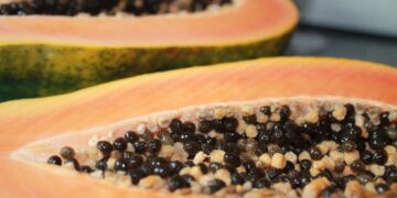 Sementes de mamão podem esconder um tesouro - Imagem: Pixabay