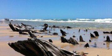Praia do Balbino - Reprodução