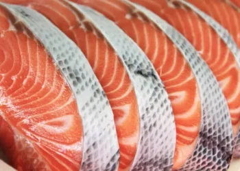Salmão - Reprodução/iStock