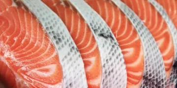 Salmão - Reprodução/iStock