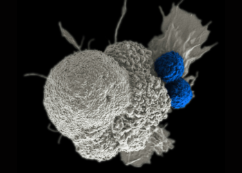 Proteína pode afetar crescimento de células cancerígenas