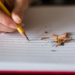 Estudo revela que escrever à mão é melhor para o aprendizado