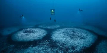 Anéis do Mediterrâneo podem mudar história do oceano - Foto: Laurent Ballesta