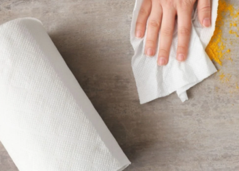 Papel-toalha está sumindo da cozinha por causa desse truque - Foto: Shutterstock