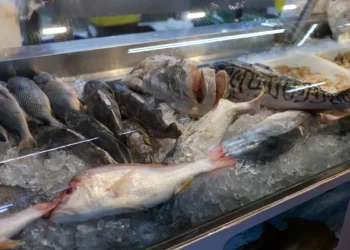Peixe contaminado com mercúrio é encontrado em mercado - Foto: Fabio Rodrigues-Pozzebom/ Agência Brasil