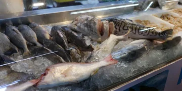 Peixe contaminado com mercúrio é encontrado em mercado - Foto: Fabio Rodrigues-Pozzebom/ Agência Brasil