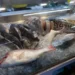 Peixe contaminado com mercúrio é encontrado em mercado - Foto: Fabio Rodrigues-Pozzebom/ Agência Brasil
