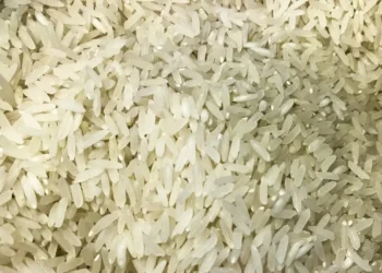 Estuda revela que arroz está cada vez mais tóxico - Foto: Marcello Casal Jr/Agência Brasil