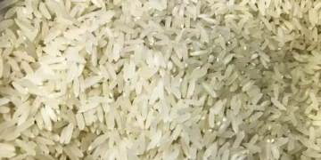 Estuda revela que arroz está cada vez mais tóxico - Foto: Marcello Casal Jr/Agência Brasil