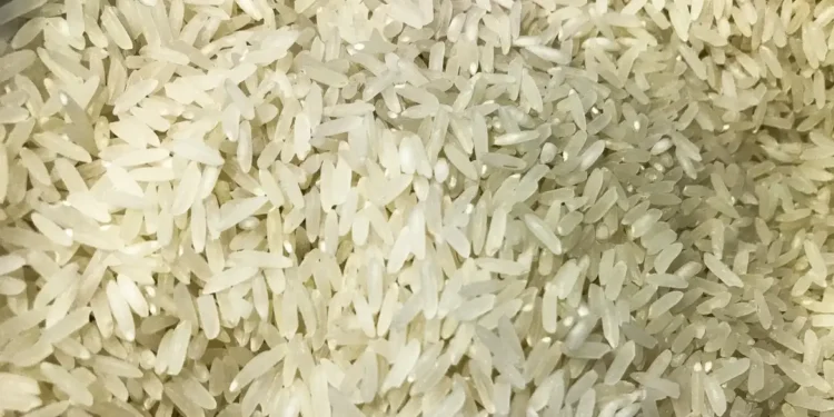 Estuda revela que arroz está cada vez mais tóxico - Foto: Marcello Casal Jr/Agência Brasil