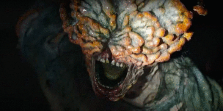 Fungo zumbi da série ‘The Last of Us’ existe? - Reprodução/Divulgação