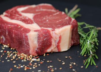 Toneladas de carne bovina do Brasil vão parar de ser exportadas para os EUA - Imagem: Pixabay
