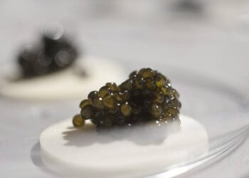 Você vai provar? Preço do caviar está cada vez mais baixo - Foto: Adriana Lorete/OGlobo Foto: Adriana Lorete