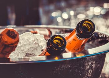 Seu cérebro pode ficar velho mais cedo ao consumir álcool - Imagem: Pixabay