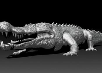 Crocodilo do Terror - Reprodução