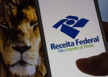 Declaração do Imposto de Renda - Reprodução