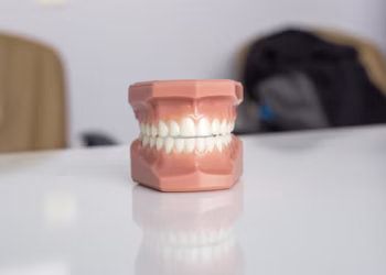 Dentadura - Reprodução/Unsplash