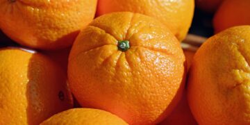 Cidade do interior produz 80% das laranjas de todo país - Imagem: Pixabay