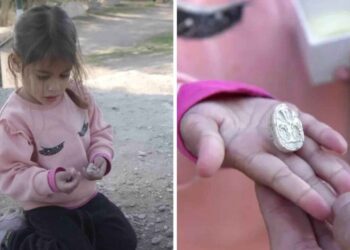 Menina de 3 anos encontra tesouro raro - Reprodução/NY Post