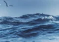 Oceano - Reprodução/iStock