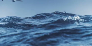 Oceano - Reprodução/iStock
