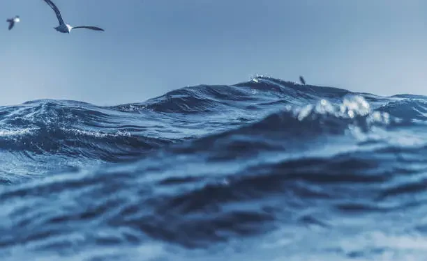 Oceano - Reprodução/iStock