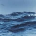 Oceano - Reprodução/iStock