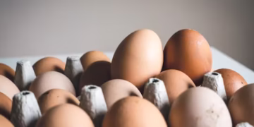 Ovo - Reprodução/Unsplash