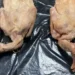 Pombo era vendido no lugar de pato em restaurante