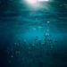 Peixes - Reprodução/iStock