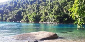 Praia do Laboratório - Reprodução