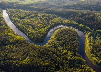 Rio Amazonas - Reprodução/iStock