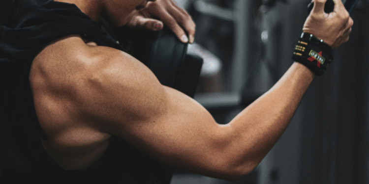 Fortaleça seu tríceps com esses 5 exercícios excelentes