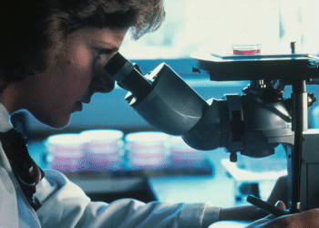 Cientistas podem concluir o doutorado mais rápido