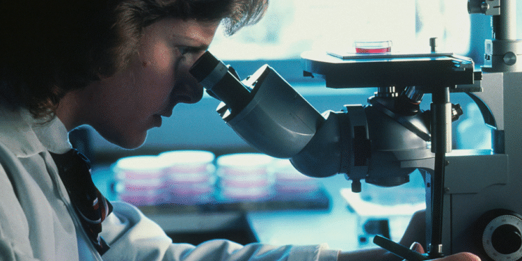 Cientistas podem concluir o doutorado mais rápido