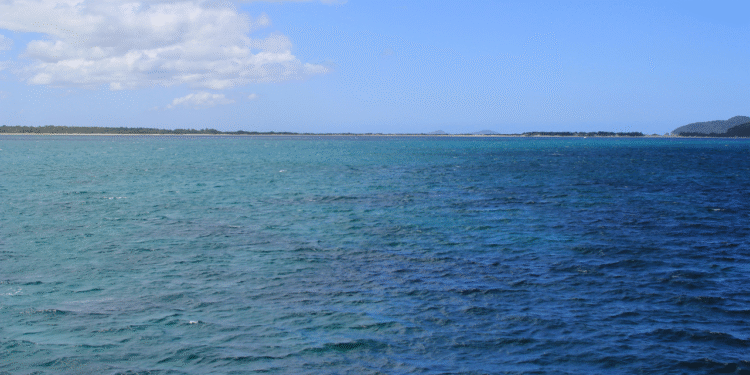 Cientistas alertam para escurecimento dos oceanos