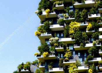 Arquitetura biofílica conquista quem busca bem-estar dentro de casa