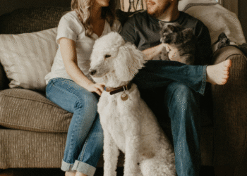 Amor por animais de estimação é forte mas não substitui a paternidade, diz pesquisa