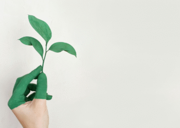 Conferência Nacional do Meio Ambiente volta a acontece após 11 anos