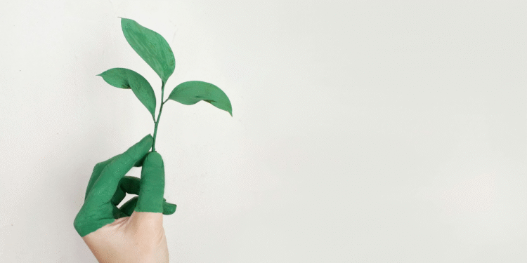 Conferência Nacional do Meio Ambiente volta a acontece após 11 anos