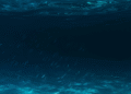 É preciso 100 mil anos a mais para descobrir tudo que existe no oceano
