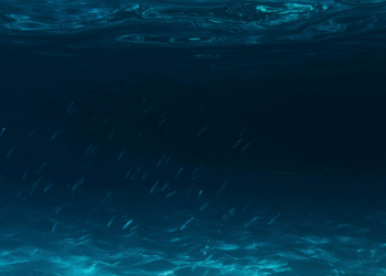 É preciso 100 mil anos a mais para descobrir tudo que existe no oceano