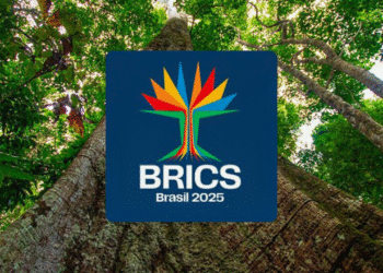 Universidade do BRICS confirma instituições brasileiras