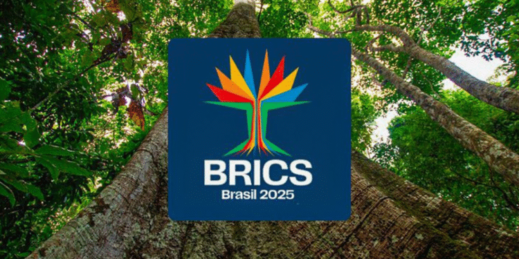 Universidade do BRICS confirma instituições brasileiras