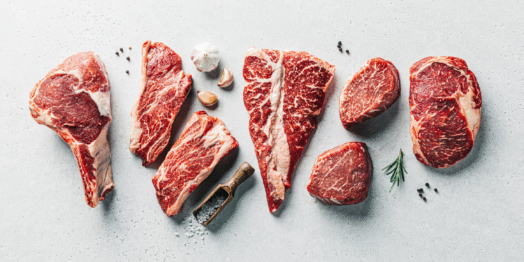 Produção de carne pode aumentar com pesquisa sobre a palma forrageira