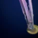 Animal com 10 metros foi avistado após desprendimento de iceberg - Foto: Reprodução/ Instituto Oceânico Schmidt