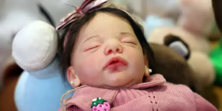 Bebês reborn ganham ultrassom em maternidade - Foto: Valter Campanato/Agência Brasil