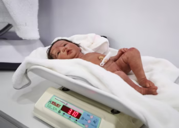 Donos de bonecas 'reborn' estão tentando atendimento no SUS - Foto: Felipe Rau/Estadão