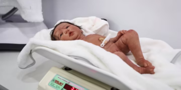 Donos de bonecas 'reborn' estão tentando atendimento no SUS - Foto: Felipe Rau/Estadão