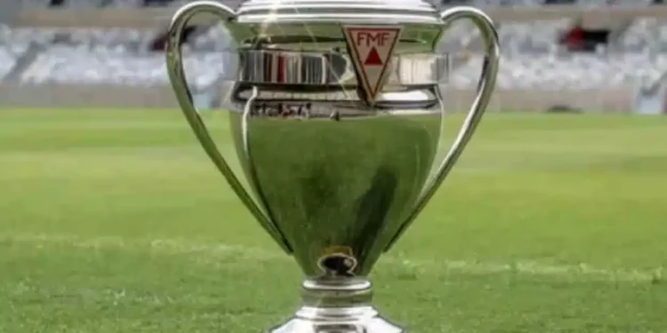 Foto: Divulgação/Federação Mineira de Futebol